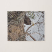 Vogel-amerikanische Weißkopfseeadler Eaglet Puzzle (Horizontal)