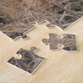 Vogel-amerikanische Weißkopfseeadler Eaglet Puzzle (Seite)