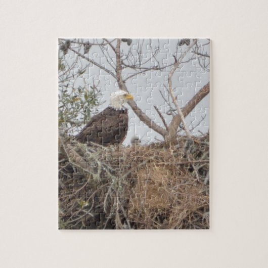 Vogel-amerikanische Weißkopfseeadler Eaglet Puzzle (Vertikal)