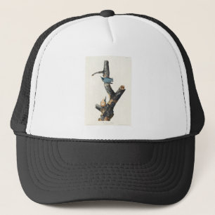 Vögel Amerikas (1827) von John James Audubon Truckerkappe