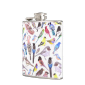 Vögel Amerikas - Heimtiere und Wildvögel Flachmann (Links)