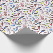 Vögel Amerikas - Heimtiere und Wildvögel Geschenkpapier (Ecke)