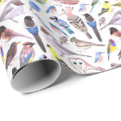 Vögel Amerikas - Heimtiere und Wildvögel Geschenkpapier (Rolleneckpunkt)