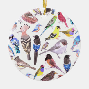 Vögel Amerikas - Heimtiere und Wildvögel Keramik Ornament
