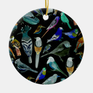 Vögel Amerikas - Heimtiere und Wildvögel Keramik Ornament