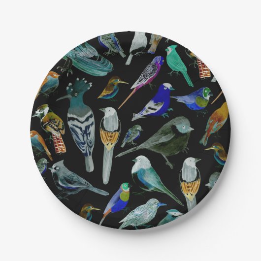 Vögel Amerikas - Heimtiere und Wildvögel Pappteller (Vorderseite)