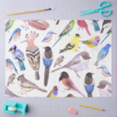 Vögel Amerikas - Heimtiere und Wildvögel Seidenpapier (Basteln)