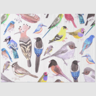 Vögel Amerikas - Heimtiere und Wildvögel Seidenpapier