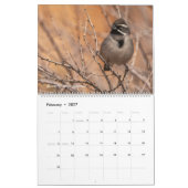 Vögel Amerikas Kalender (Feb 2027)