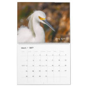 Vögel Amerikas Kalender (Mär 2027)