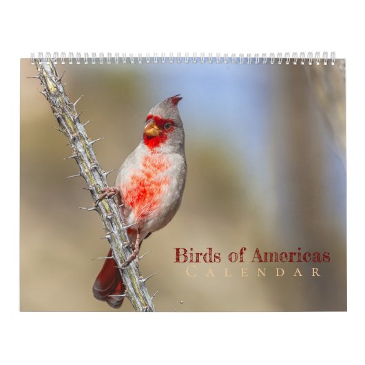 Vögel Amerikas Kalender (Titelbild)