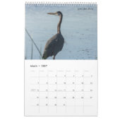 Vögel Amerikas Kalender (Mär 2027)