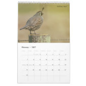 Vögel Amerikas Kalender (Feb 2027)