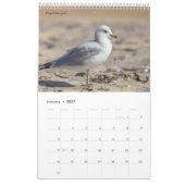 Vögel Amerikas Kalender (Jan 2027)