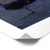 Vögel an der Küste Poster (Ecke)