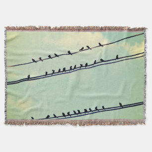 Vögel an Drähten, Vintager blauer Himmel. Decke