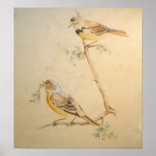 Vogel Aquarell – Natur-Wandkunst Poster