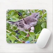 Vogel auf Blueberry Branch Mouse Pad Mousepad (Mit Mouse)