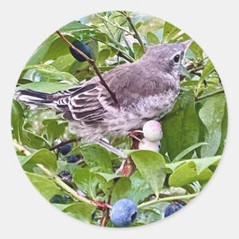 Vogel auf Blueberry Branch Sticker