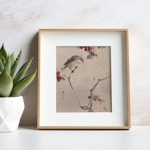Vogel auf Branch-Watching Spinne   Watanabe Seitei Poster