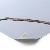 Vögel auf Branches Poster (Ecke)