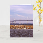 Vögel auf Chesapeake Bay Karte (Gelbe Blume)