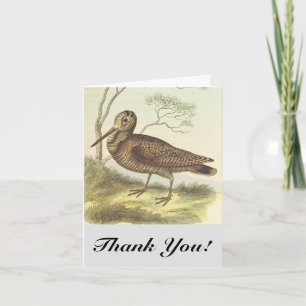 Vogel auf dem Boden, "Danke!", Vintage-Look Karte