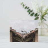 Vögel auf dem Dach Postkarte (Stehend Vorderseite)