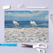 Vögel auf dem Strand-Tissue-Papier Seidenpapier (Handwerk)