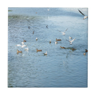 Vögel auf dem Summer River Fliese