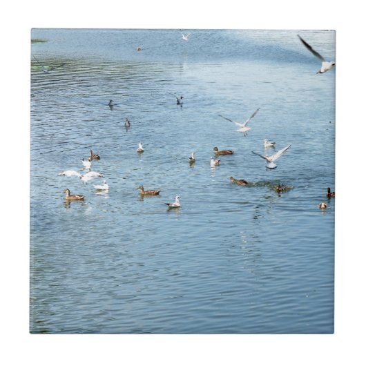 Vögel auf dem Summer River Fliese (Vorderseite)