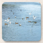 Vögel auf dem Summer River Getränkeuntersetzer (Vorderseite)