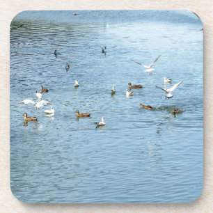 Vögel auf dem Summer River Getränkeuntersetzer