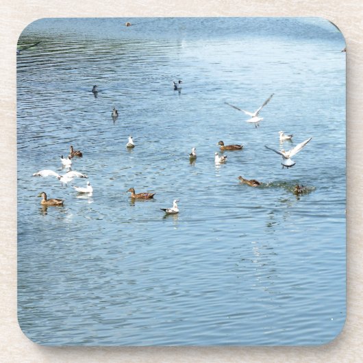 Vögel auf dem Summer River Getränkeuntersetzer (Vorderseite)