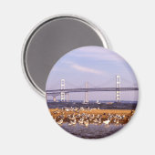 Vögel auf der Chesapeake Bay Magnet (Vorderseite/Rückseite)