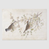 Vögel auf der Entfärbung von Parchment Seidenpapier (Vorderseite)