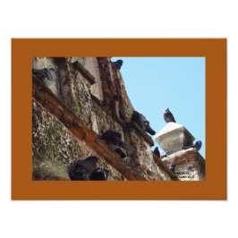Vögel auf der Kapelle in der Alten San Juan Fotodruck