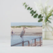 Vogel auf der Landungsbrücke - Corpus Christi, Tex Postkarte (Stehend Vorderseite)