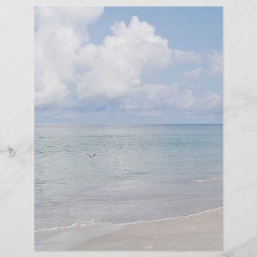 Vogel auf der Strandbühne (Vorderseite)