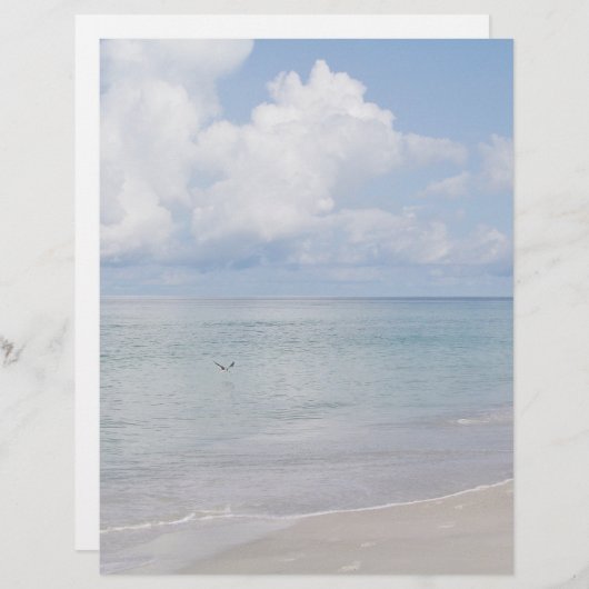 Vogel auf der Strandbühne (Vorne/Hinten)