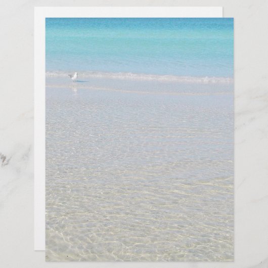 Vogel auf der Strandbühne (Vorne/Hinten)