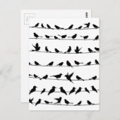 Vogel auf Draht4 Postkarte (Vorne/Hinten)