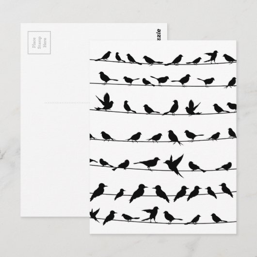 Vogel auf Draht4 Postkarte (Vorne/Hinten)