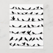 Vogel auf Draht4 Postkarte (Vorderseite)