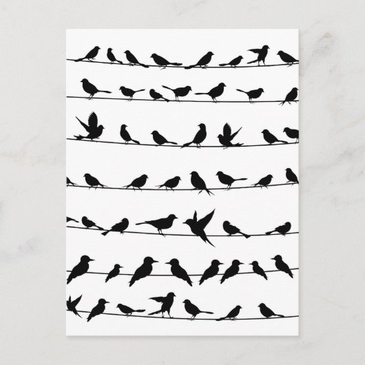 Vogel auf Draht4 Postkarte (Vorderseite)