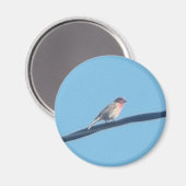 Vogel auf Draht Magnet (Vorderseite/Rückseite)