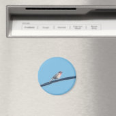 Vogel auf Draht Magnet (In Situ (Geschirrspüler))