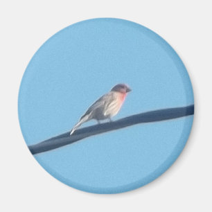 Vogel auf einem Draht Magnet