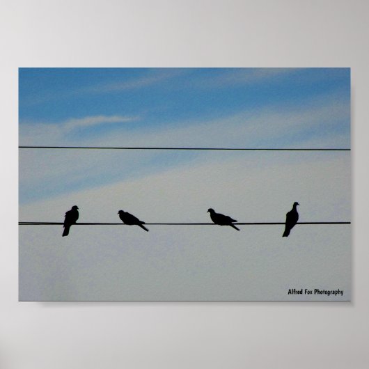 Vögel auf einem Draht Poster (Vorne)