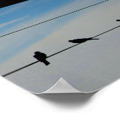 Vögel auf einem Draht Poster (Ecke)
